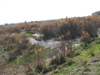 lle del Simeto-24-02-2013 10-25-02